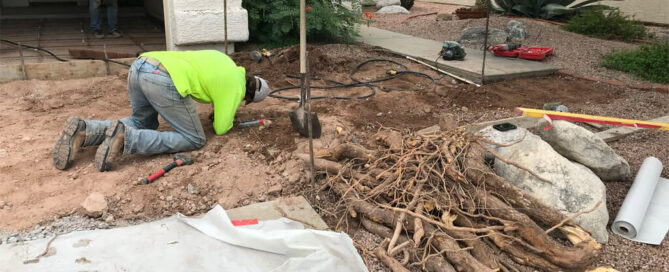 concrete root removal